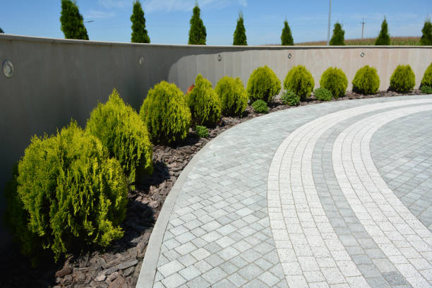 Best Residential Paver Driveway  in Willis, TX